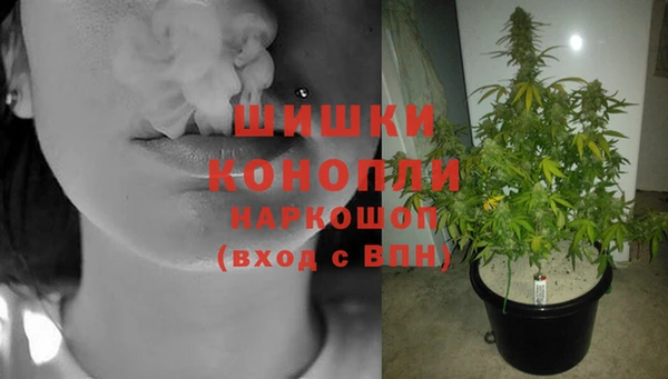 винт Дмитров