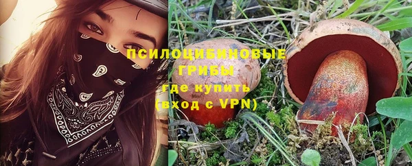 дурь Дмитровск