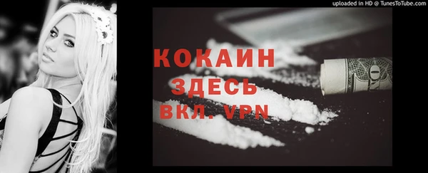 винт Дмитров