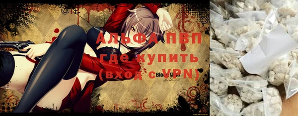 винт Дмитров