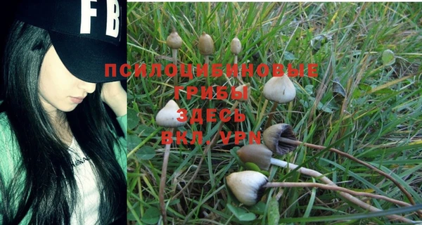 MDMA Дмитриев