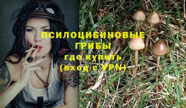 дурь Дмитровск