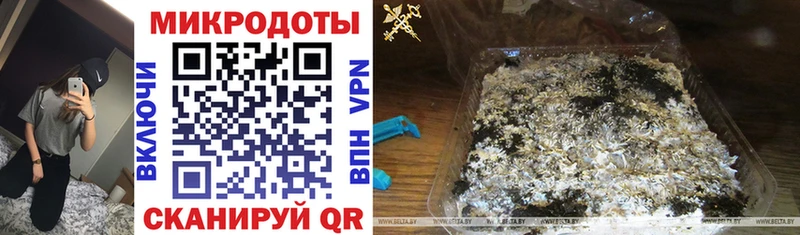 Галлюциногенные грибы прущие грибы  Купить  Озёры 